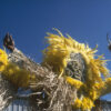 Bury The Hatchet - Image 3