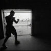 Fight to The Max - Image 3