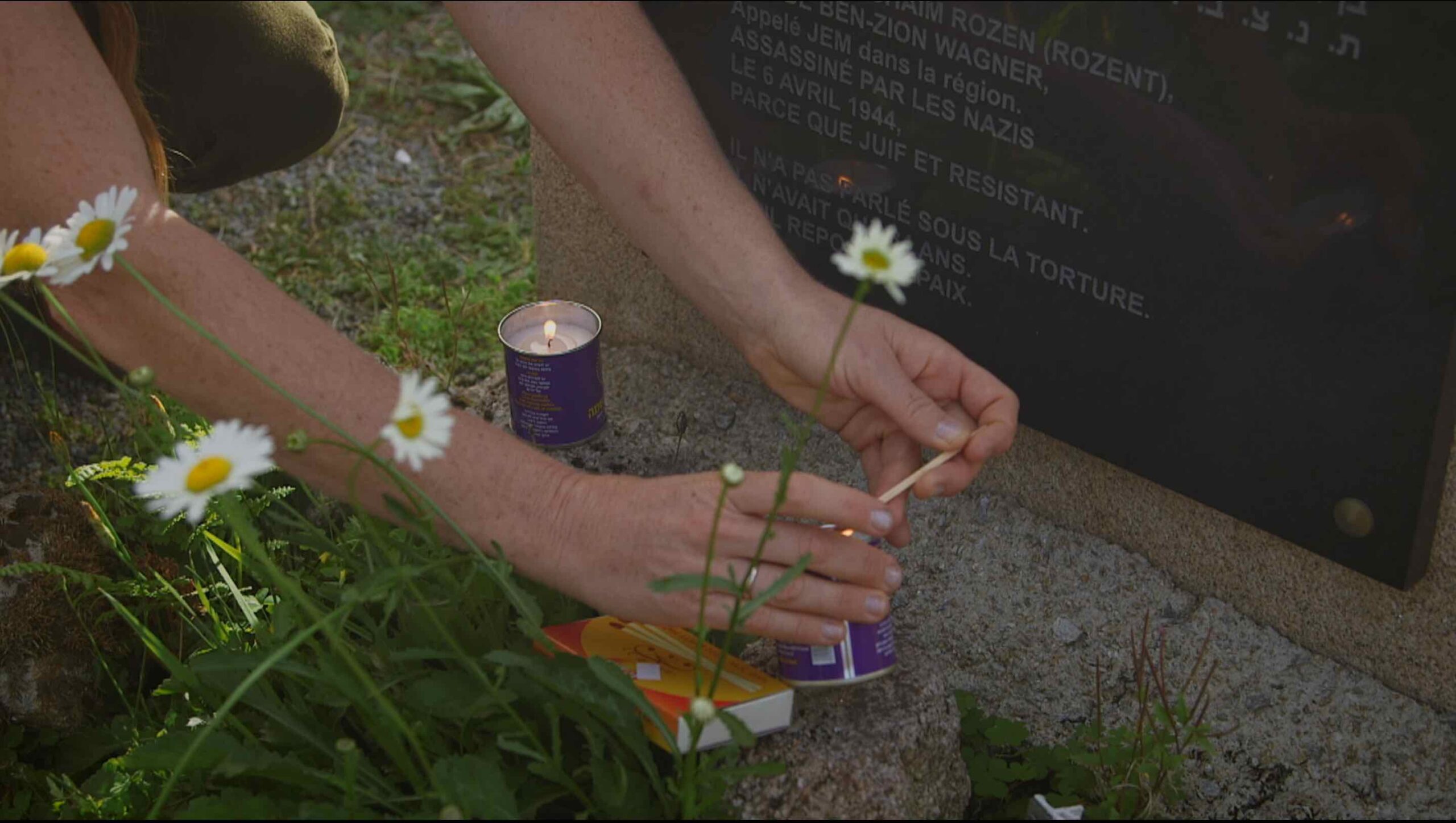 Out From the Shadows (Sortie Des Ombres) - Image 2