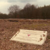 The Pink Triangle - Image 4