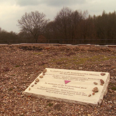 The Pink Triangle - Image 4