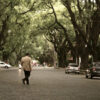 The Pink Triangle - Image 3