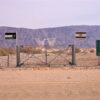 The Optimists - Image 3